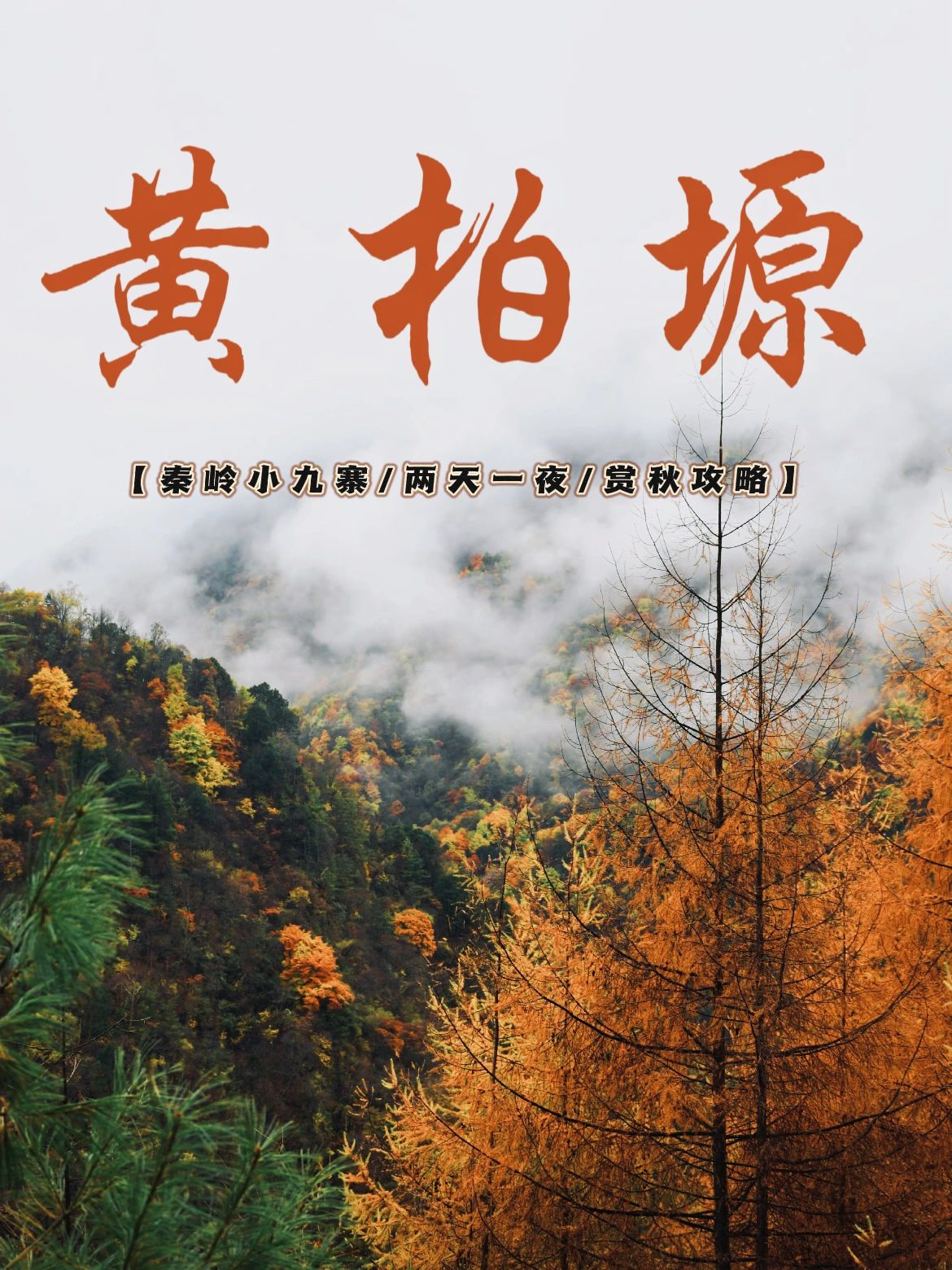 向快乐出发，秋日出游我选黄柏塬