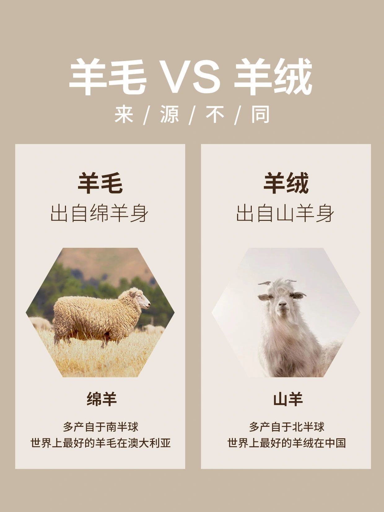 咩咩的毛#羊绒特性#