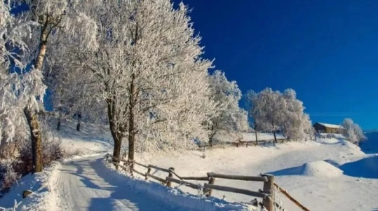 五律.赏雪
步诗友韵~闲吟
心怀鹤羽尘，欲咏感词贫。
今古名篇赏，何如现场巡。
