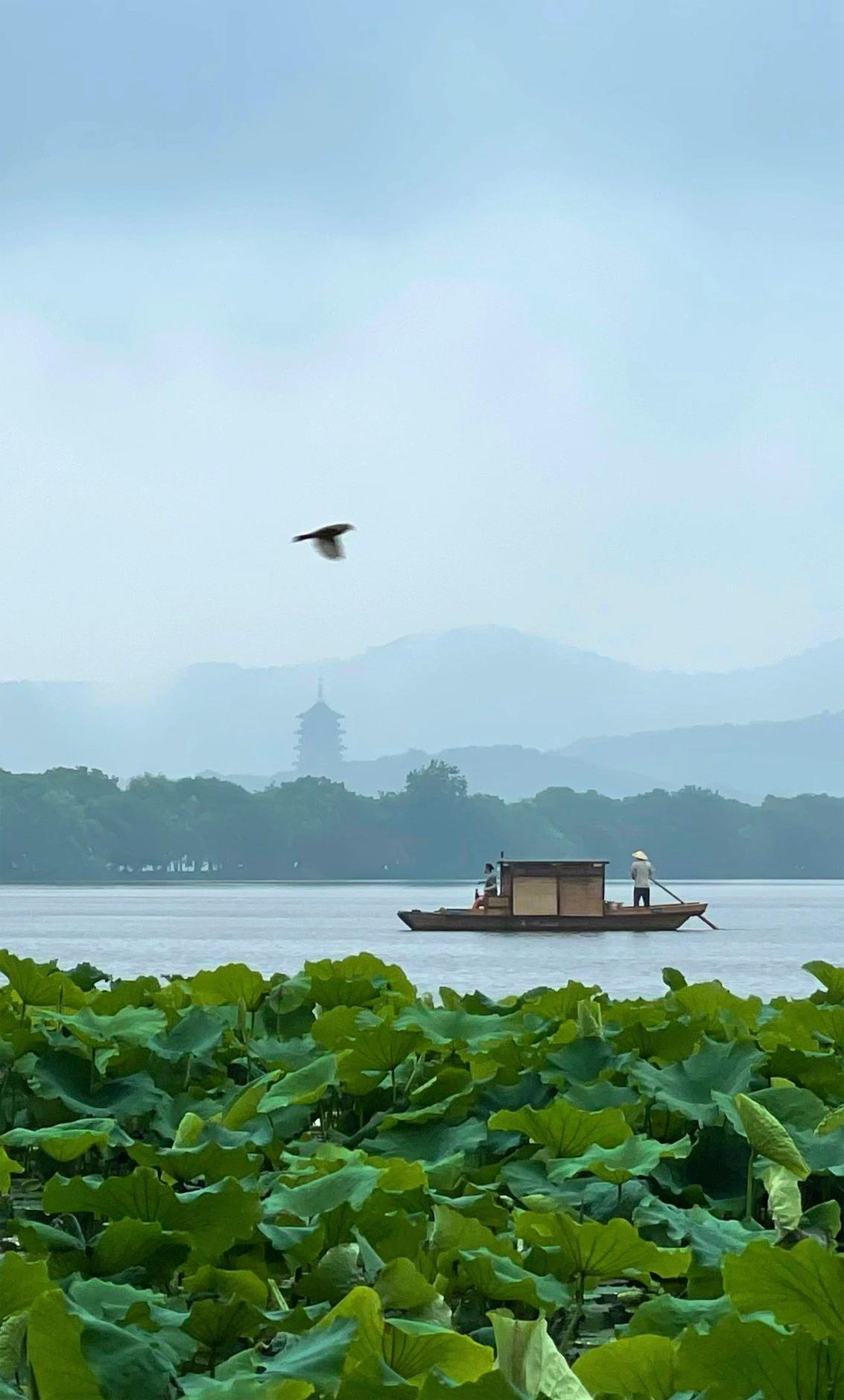 写给来杭州的姐妹🔍保姆级游玩攻略