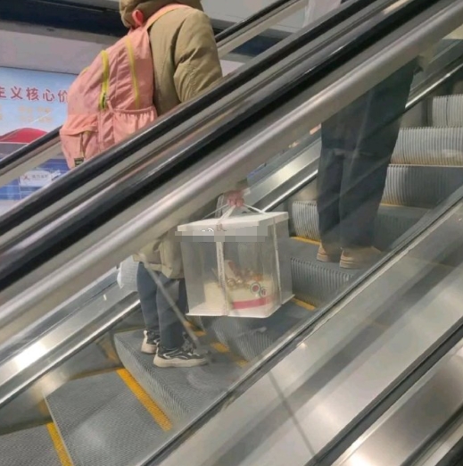 人家背这种书包怎么它了[疑问] ​​​