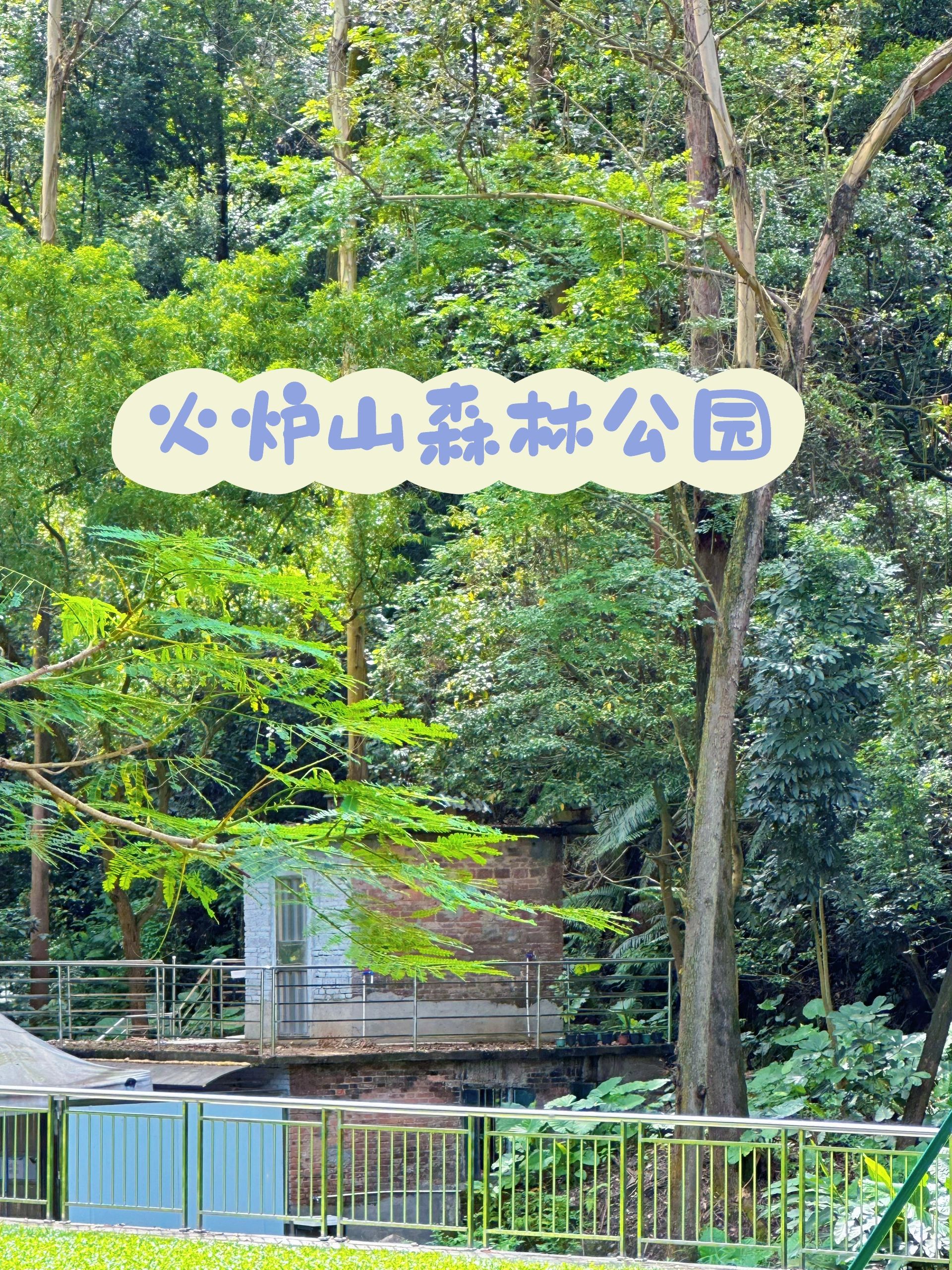 广州公园｜跟i星人一起去爬山