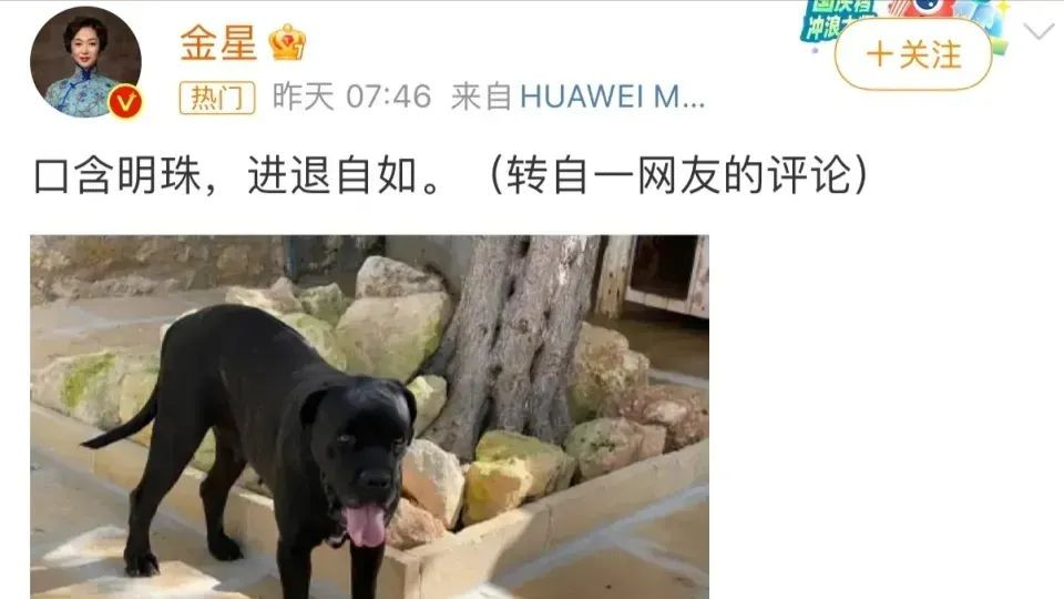 内涵段子？金星发文“口含明珠，进退自如”又删除