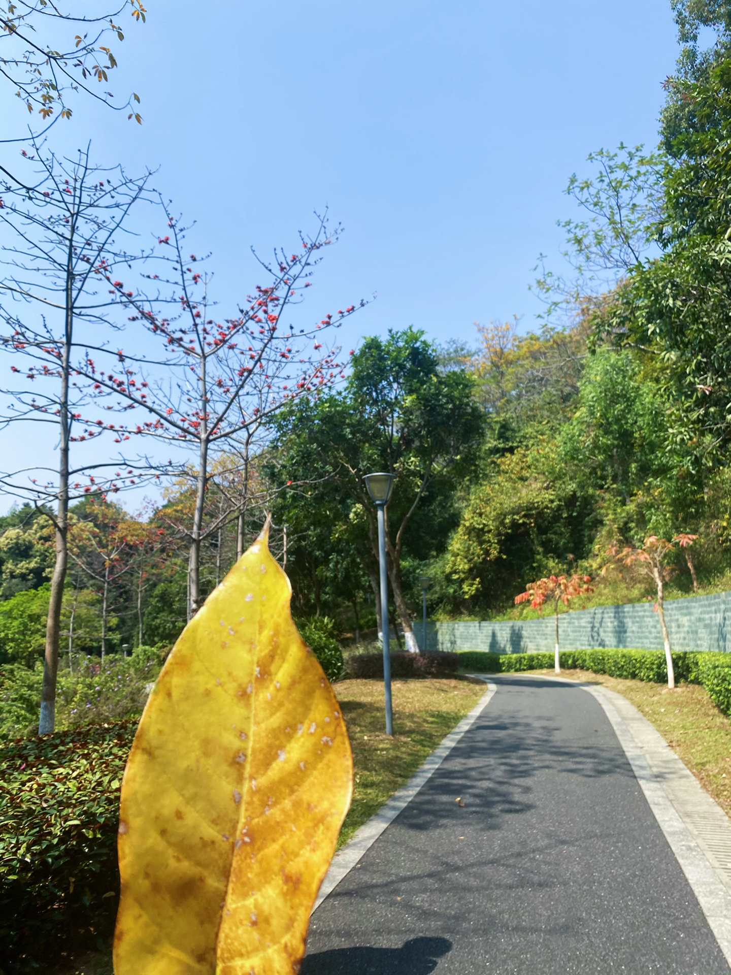 一定要来走走广州这条休闲步行道！