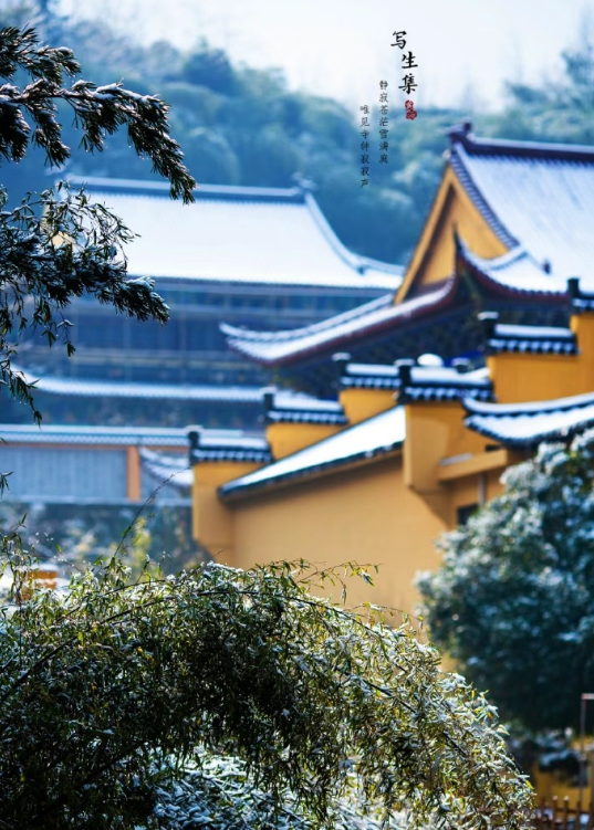 人生只是须臾的刹那，安心，定心便好。在惠云禅寺静心赏雪，祝福事事安好，温暖喜乐。