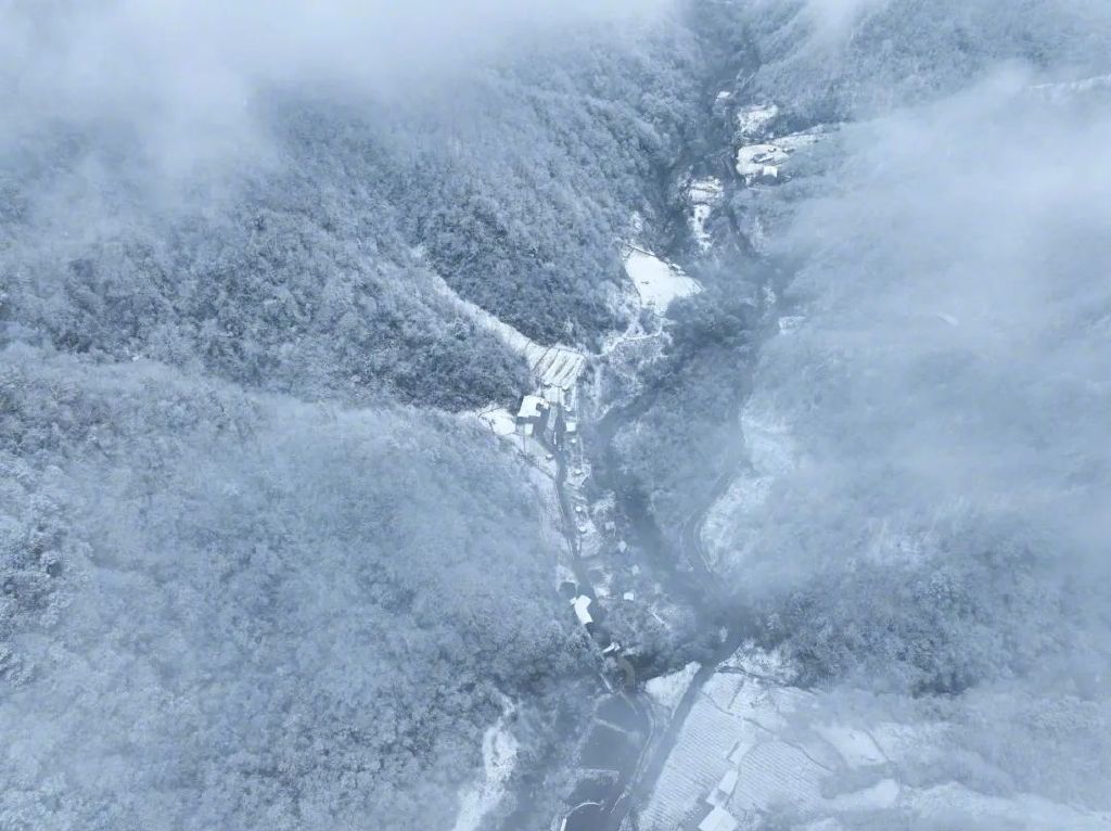 这个冬天，来城口邂逅一场白雪盛宴吧！