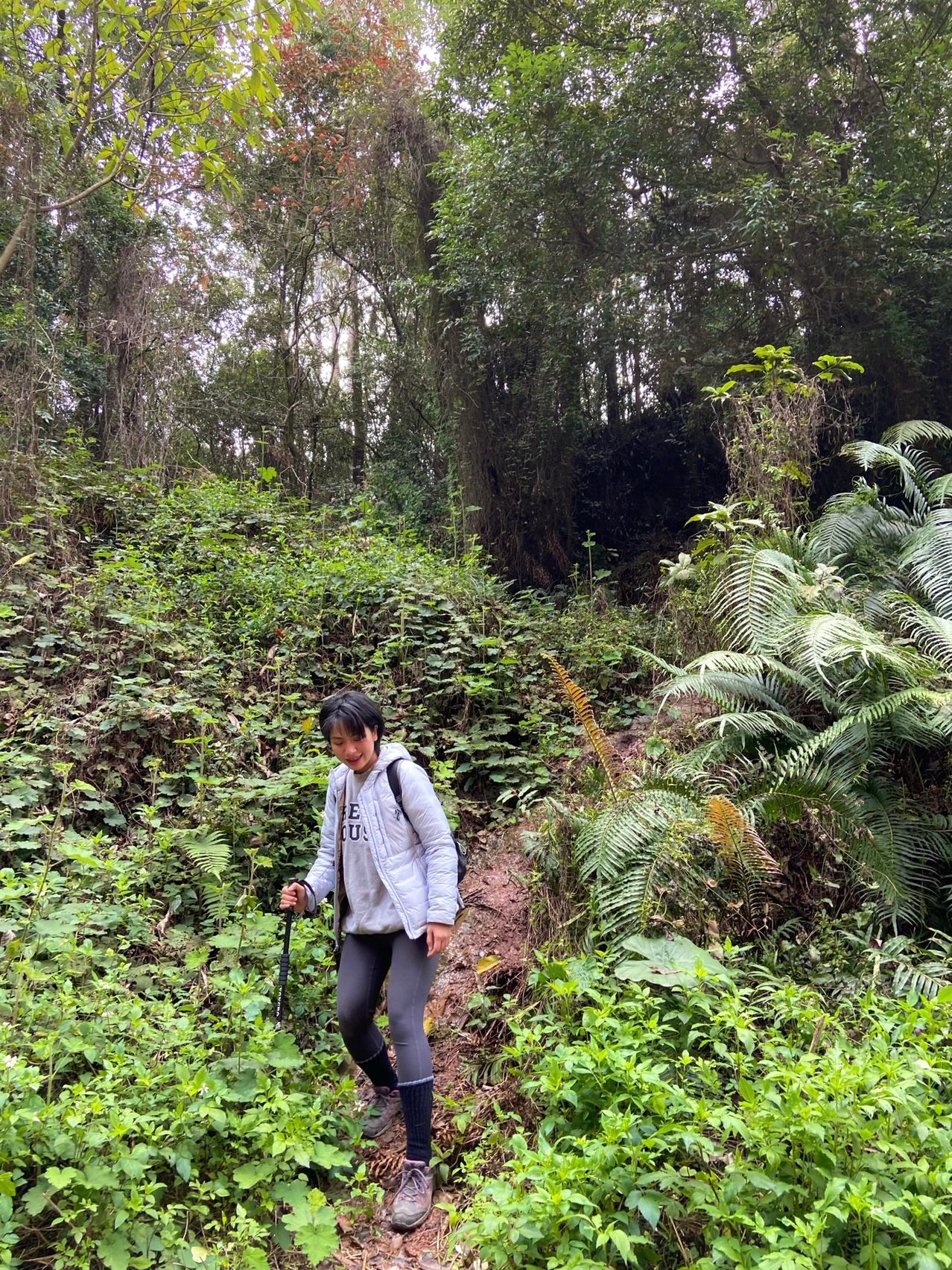 滴水岩森林公园 广州市区徒步拉练路线