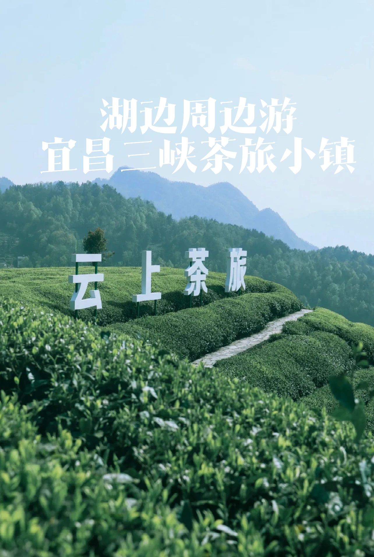 湖北周边自驾游·宜昌三峡茶旅小镇