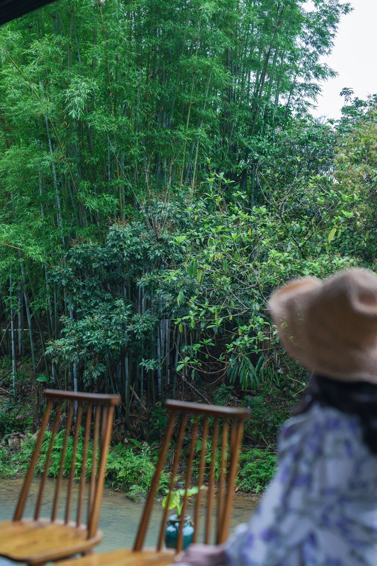 广州周边游🪴挖啊挖啊挖宝藏河溪露营营地