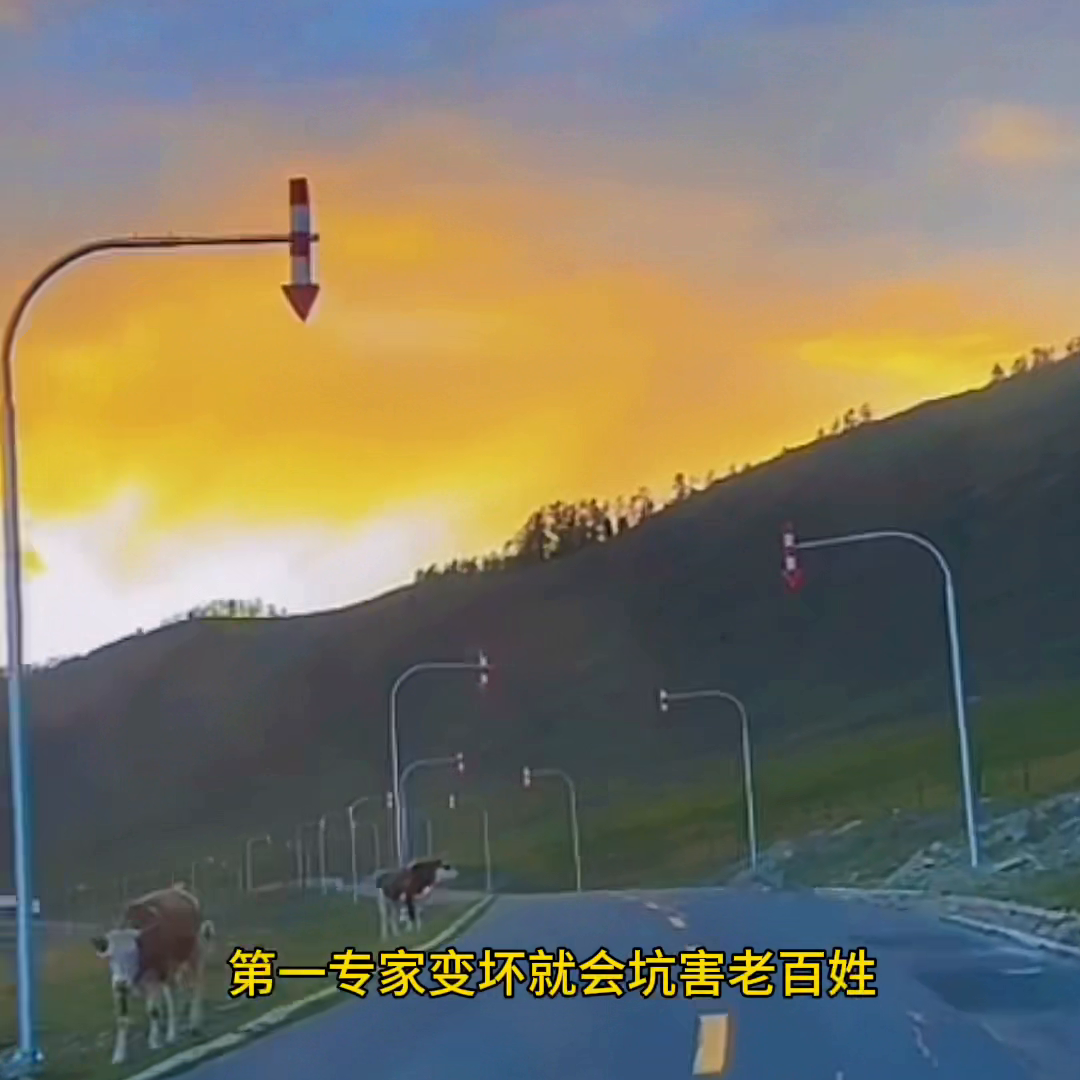 这4种人变坏，将是非常可怕的。
·第一，专家变坏，将坑害百姓；
·第二，医生变坏