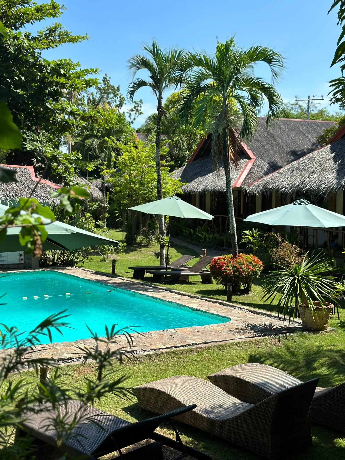 薄荷岛宝藏度假村☀️2米入海的Oasis