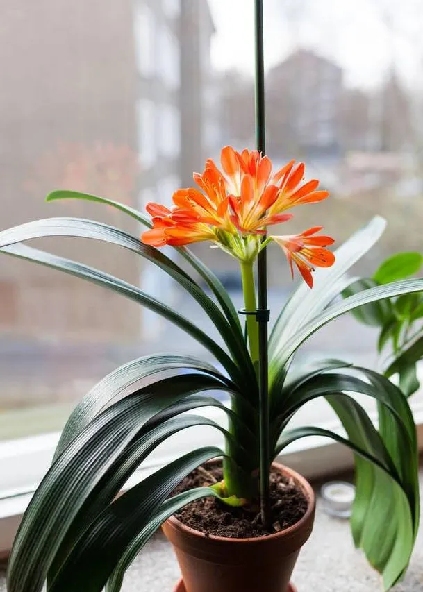 昨天我知道了一个秘密！

楼上的邻居连续三年没有交取暖费，我还纳闷呢，他家又有老