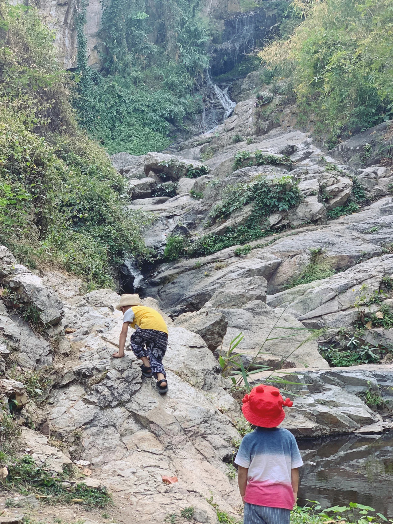 清迈游学DAY28☀️怀开瀑布野餐