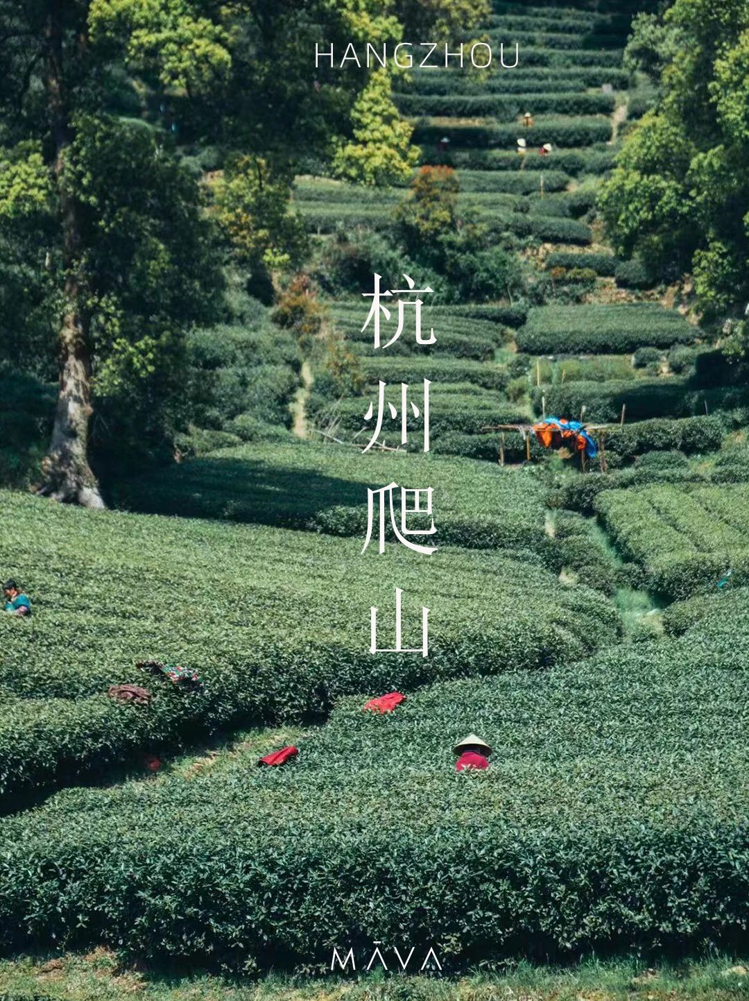 飞来峰爬山攻略 ｜周末徒步线路