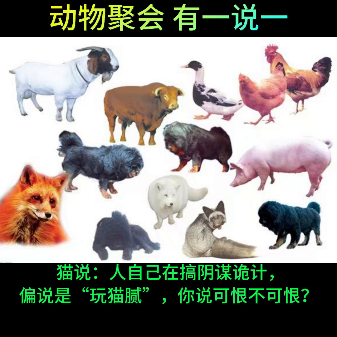 动物聚会有一说一。
驴说：明明是人愚蠢，却说