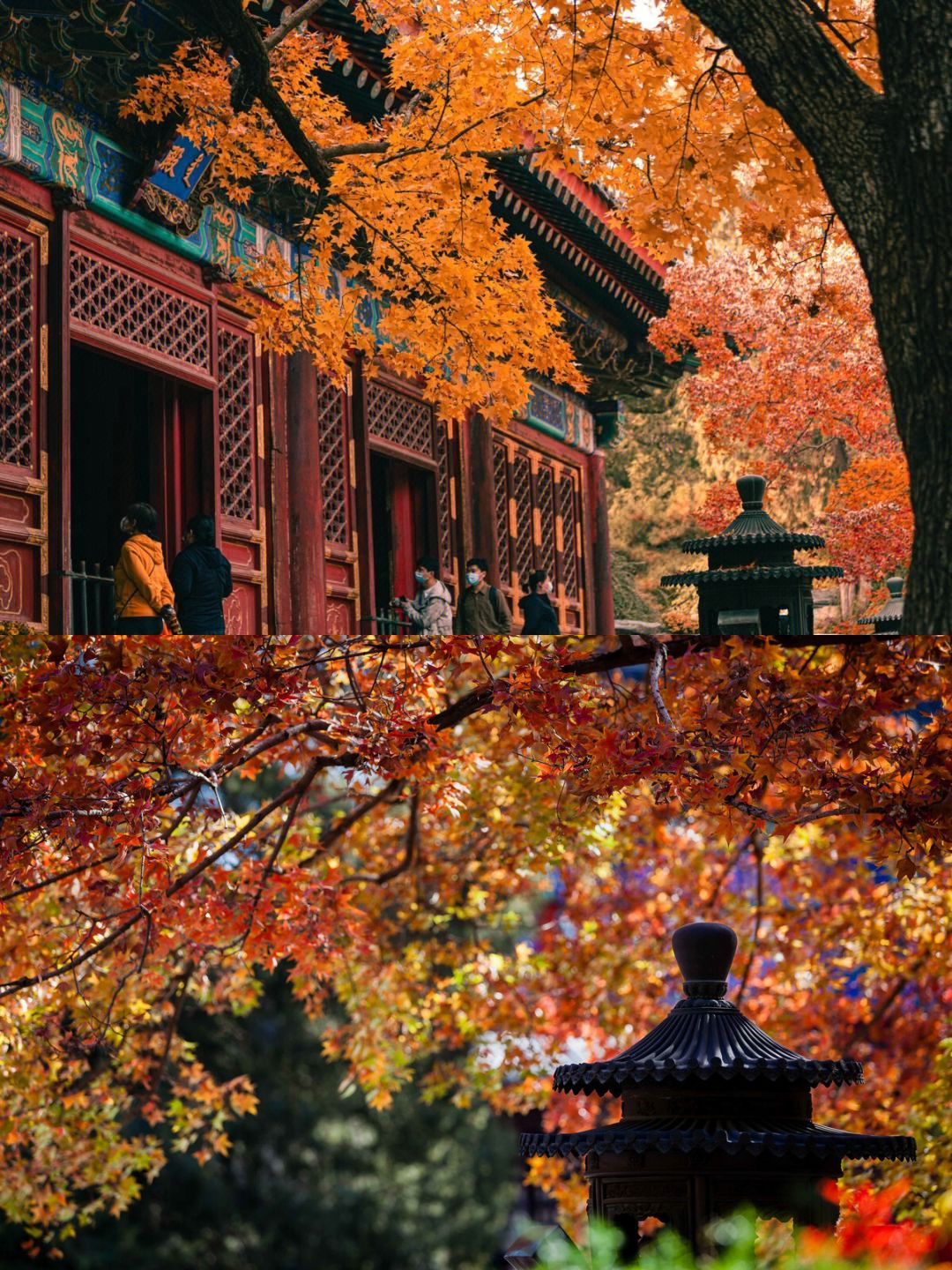 北京红叶季！10~11月来北京别错过