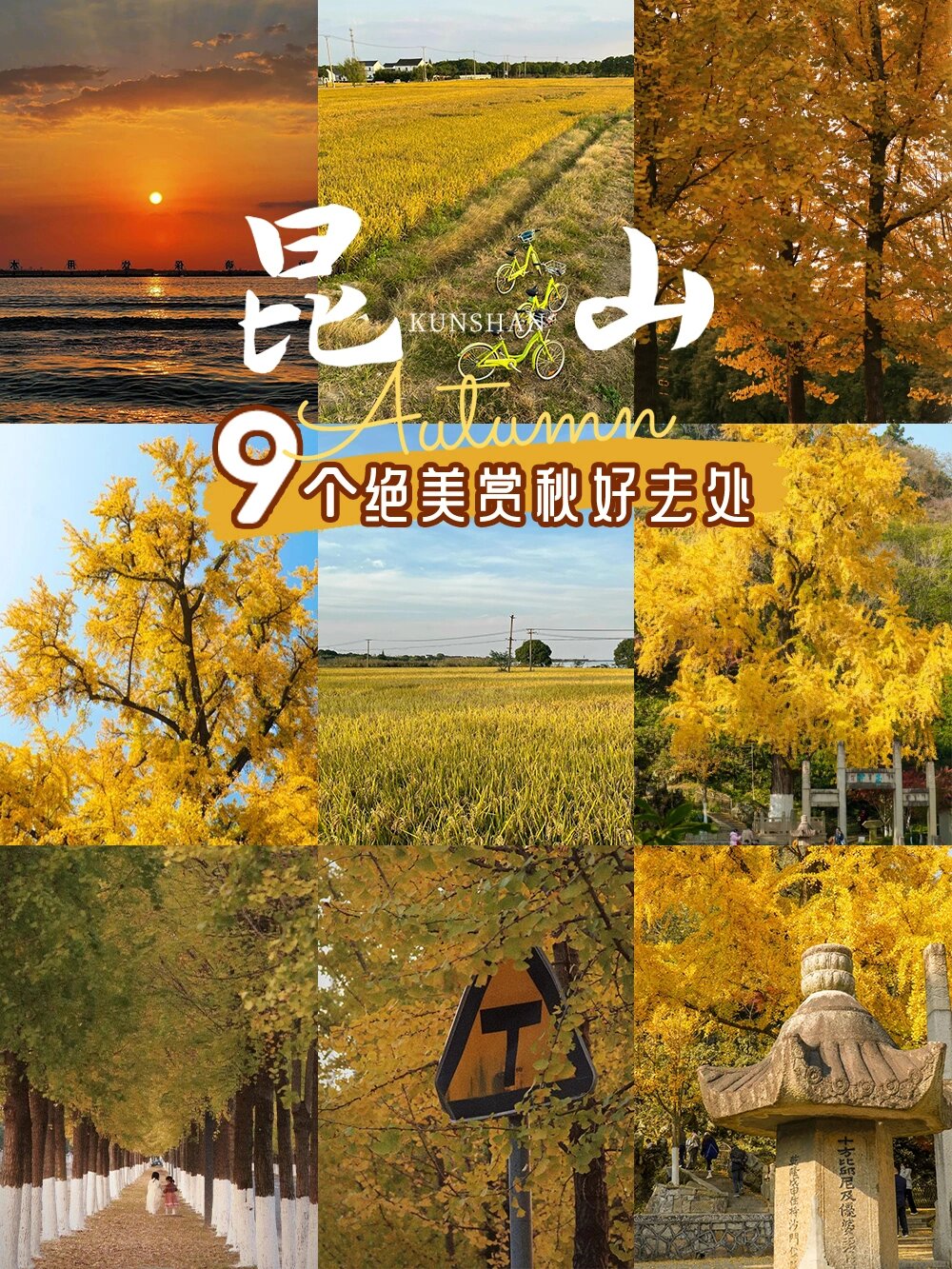 追着秋天去旅行🍂昆山9个赏秋打卡地