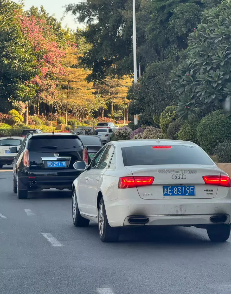 这辆奥迪是烧柴火的吗