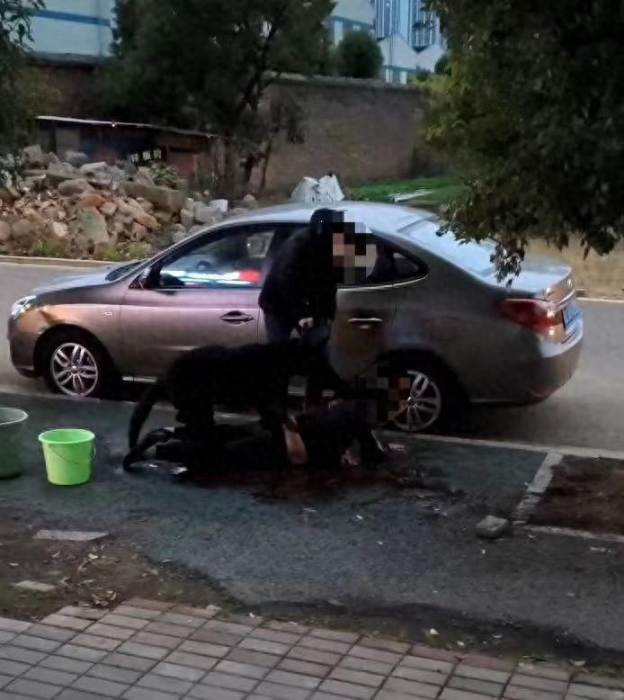 “令人愤怒！”近日，湖南湘潭，一起恶犬咬人事件引发社会广泛关注。

据报道，一条