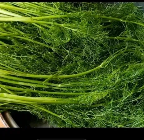 用这玩意包饺子简直是反人类啊！

今天中午老婆买了一把这个玩意，还顺道割了点五花