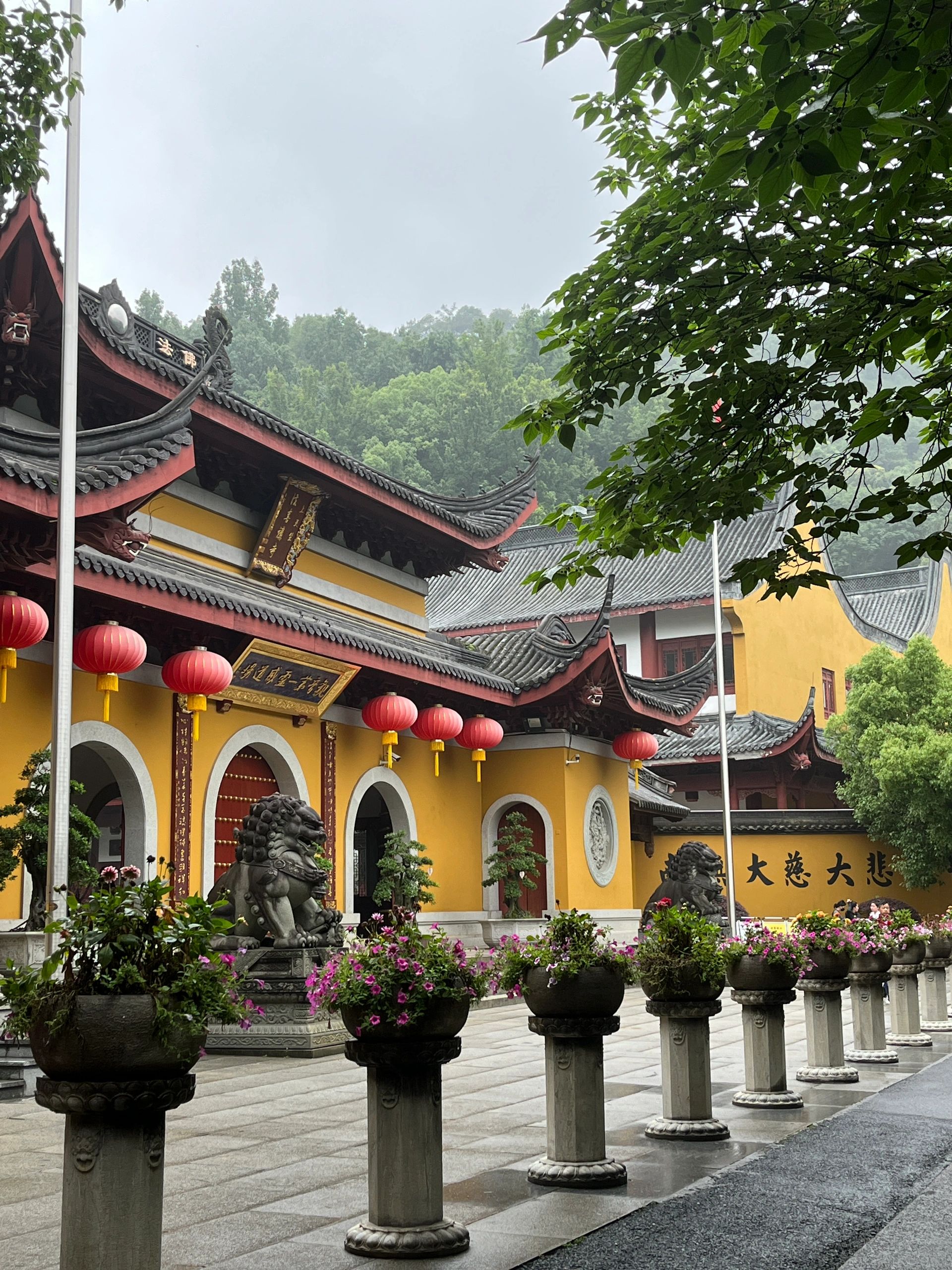 法喜寺➡️灵隐寺一日游 人少路线❗️