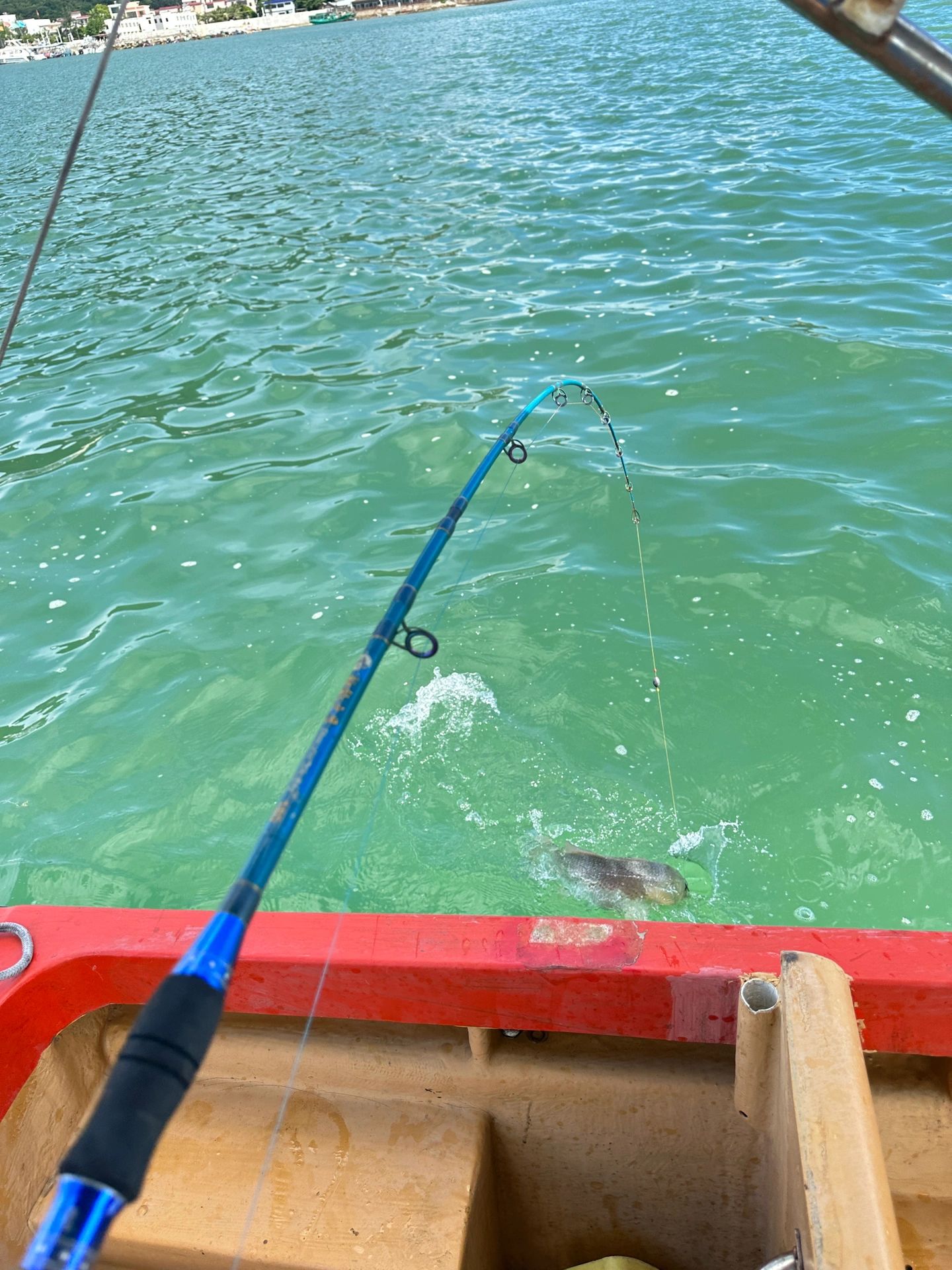 深圳海钓🎣过瘾啊，快来人😎