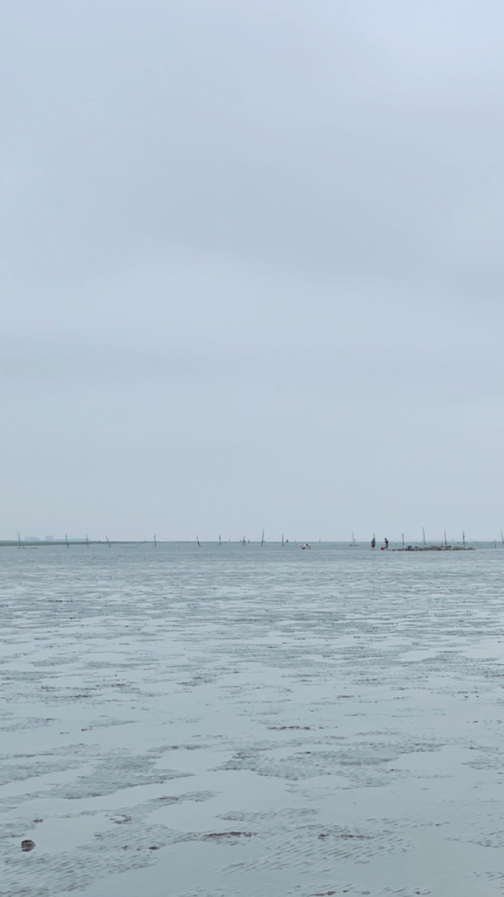 赶海去！螃蟹蛤蜊黄泥螺&超大的无动力乐园