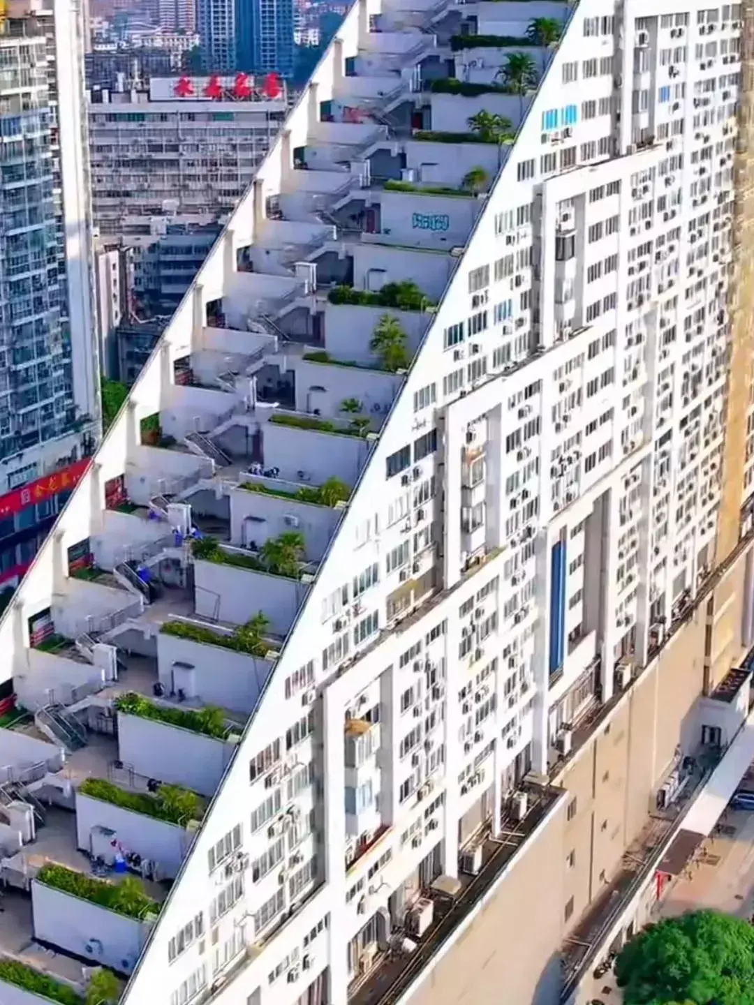 设计师太聪明了，这房子建的，真是别具一格。