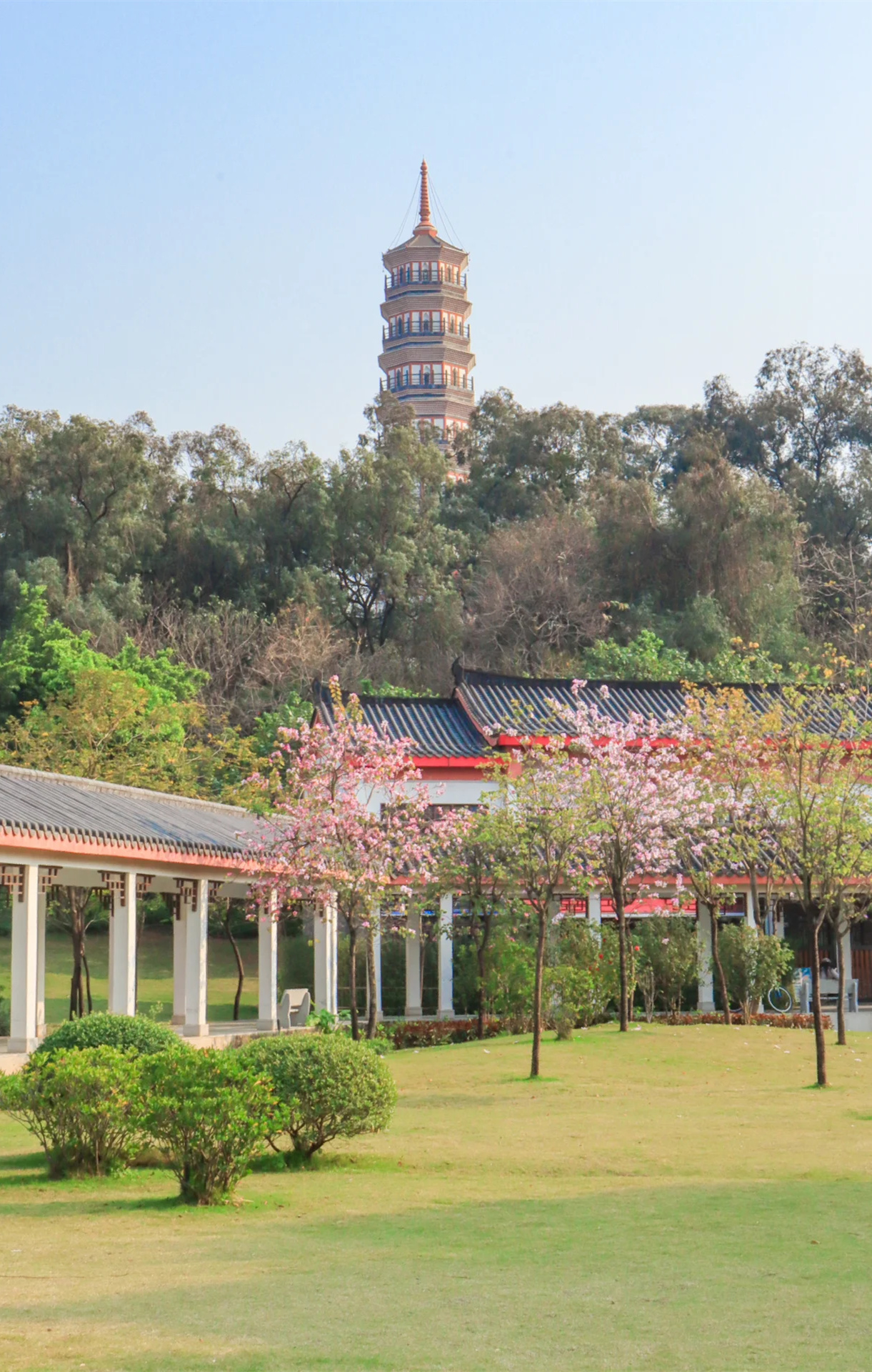 广州市区亲水公园，露营野餐的绝佳去处！
