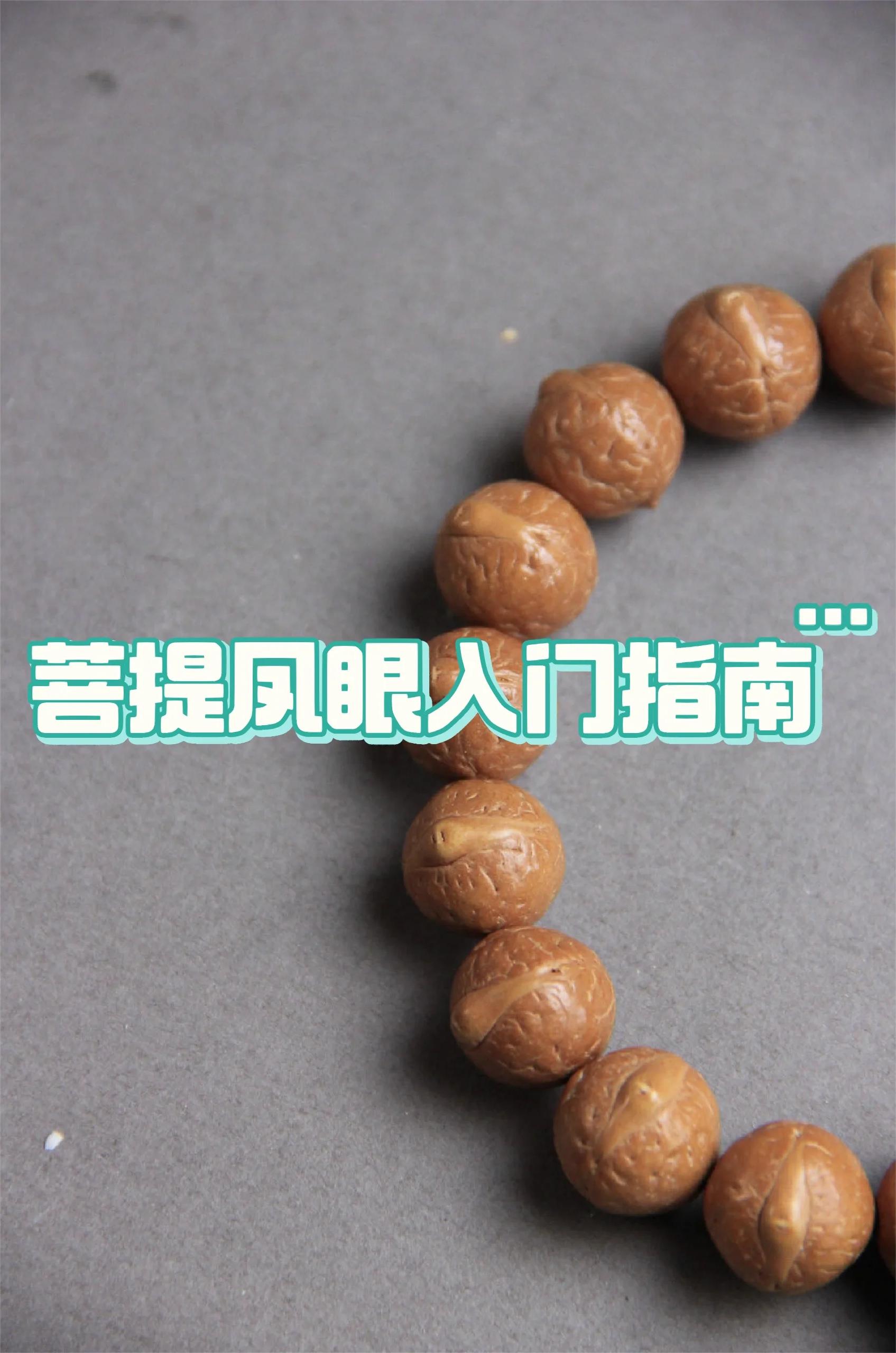 💥菩提凤眼丨入门指南