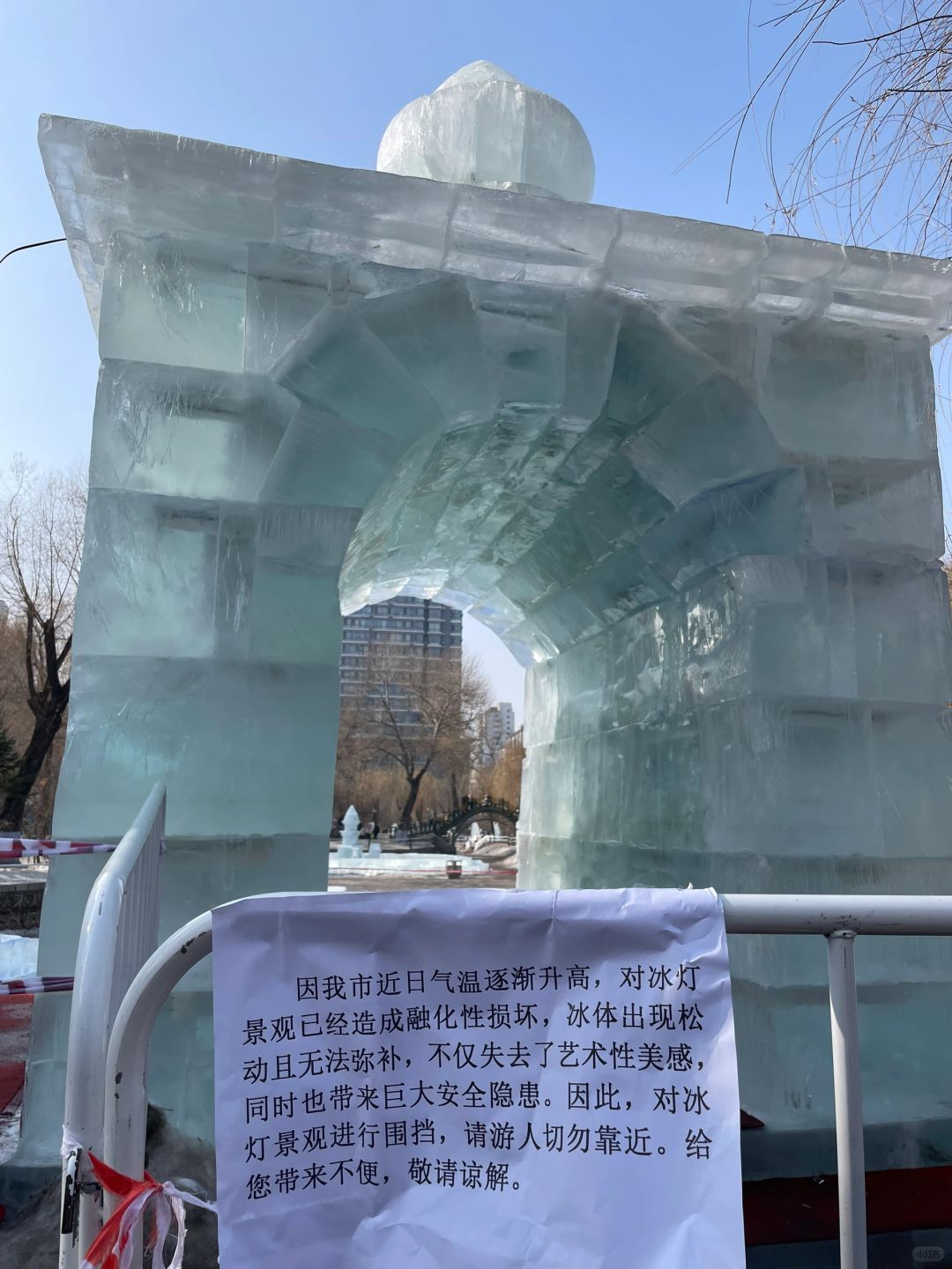 尔滨的魔法消失了❄️
冰🧊化了～明年冬天吧～