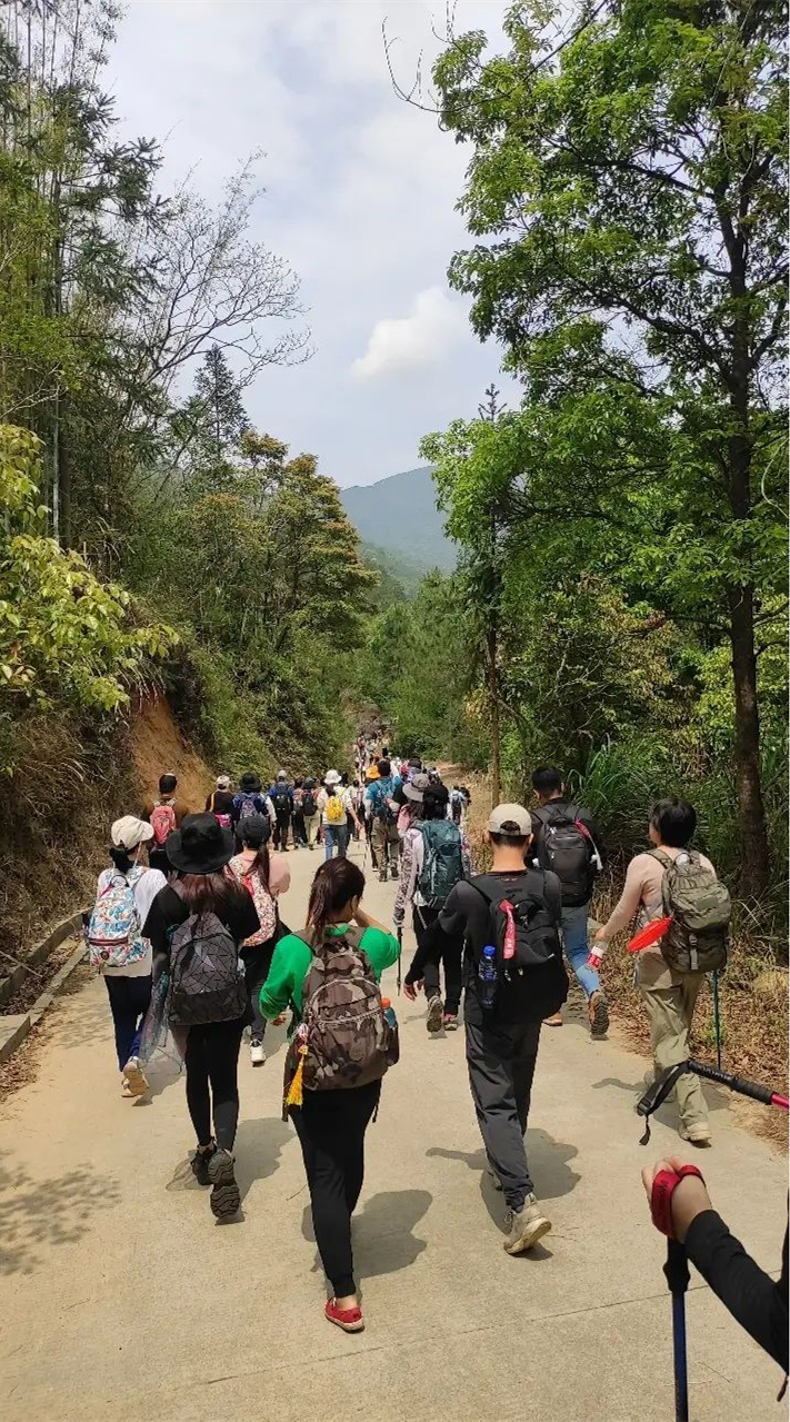 一周一山｜连续爬一座山是一种什么体验？