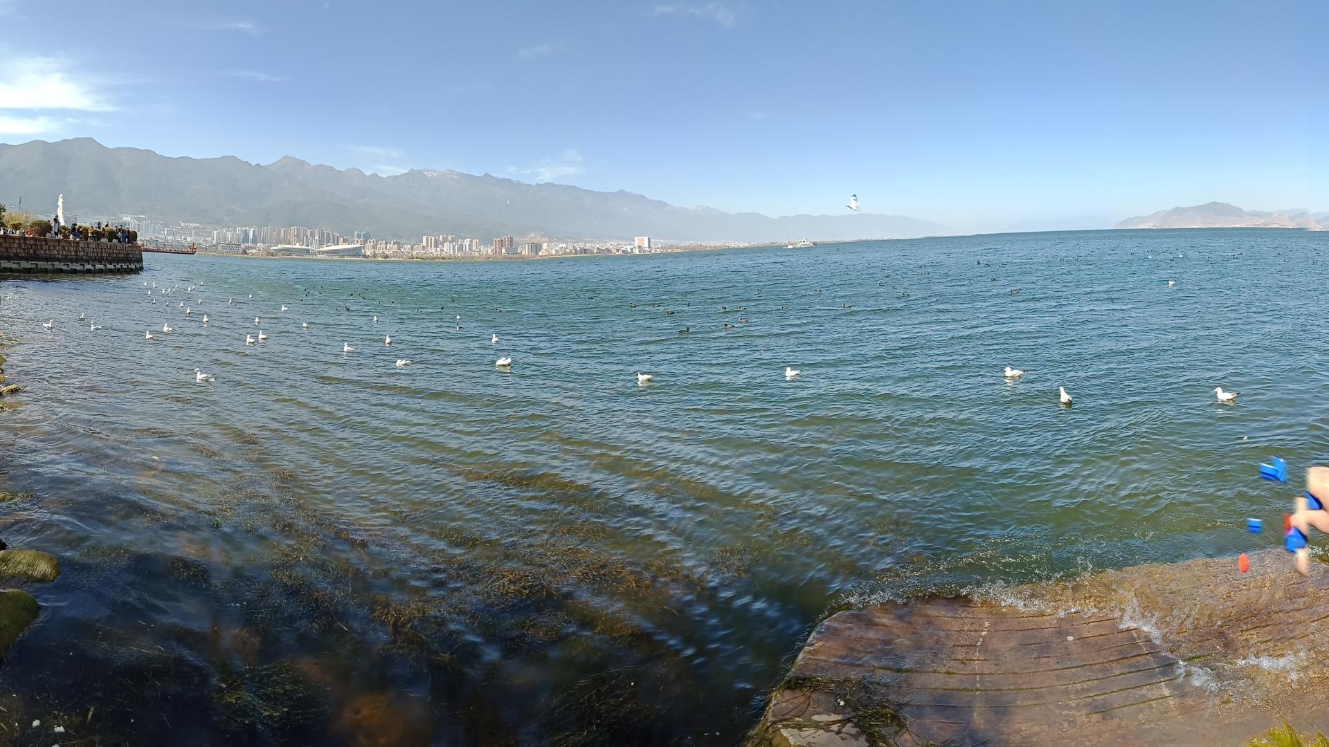 冬天的大理洱海