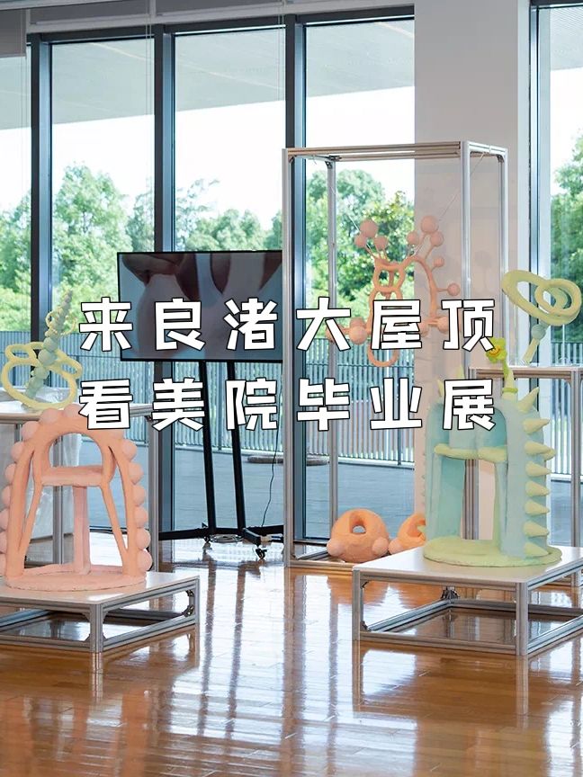 托大屋顶的福，我又可以看美院毕业展