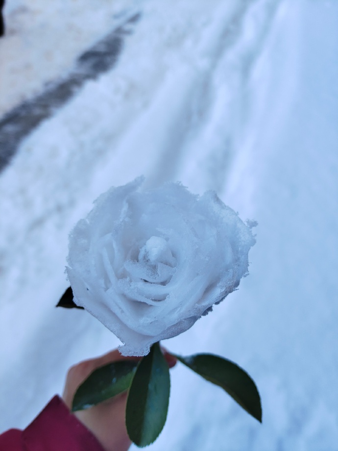 冬天特有的浪漫ᥫ
邀你来赏雪