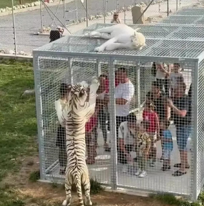 越看越觉得有些不对劲？