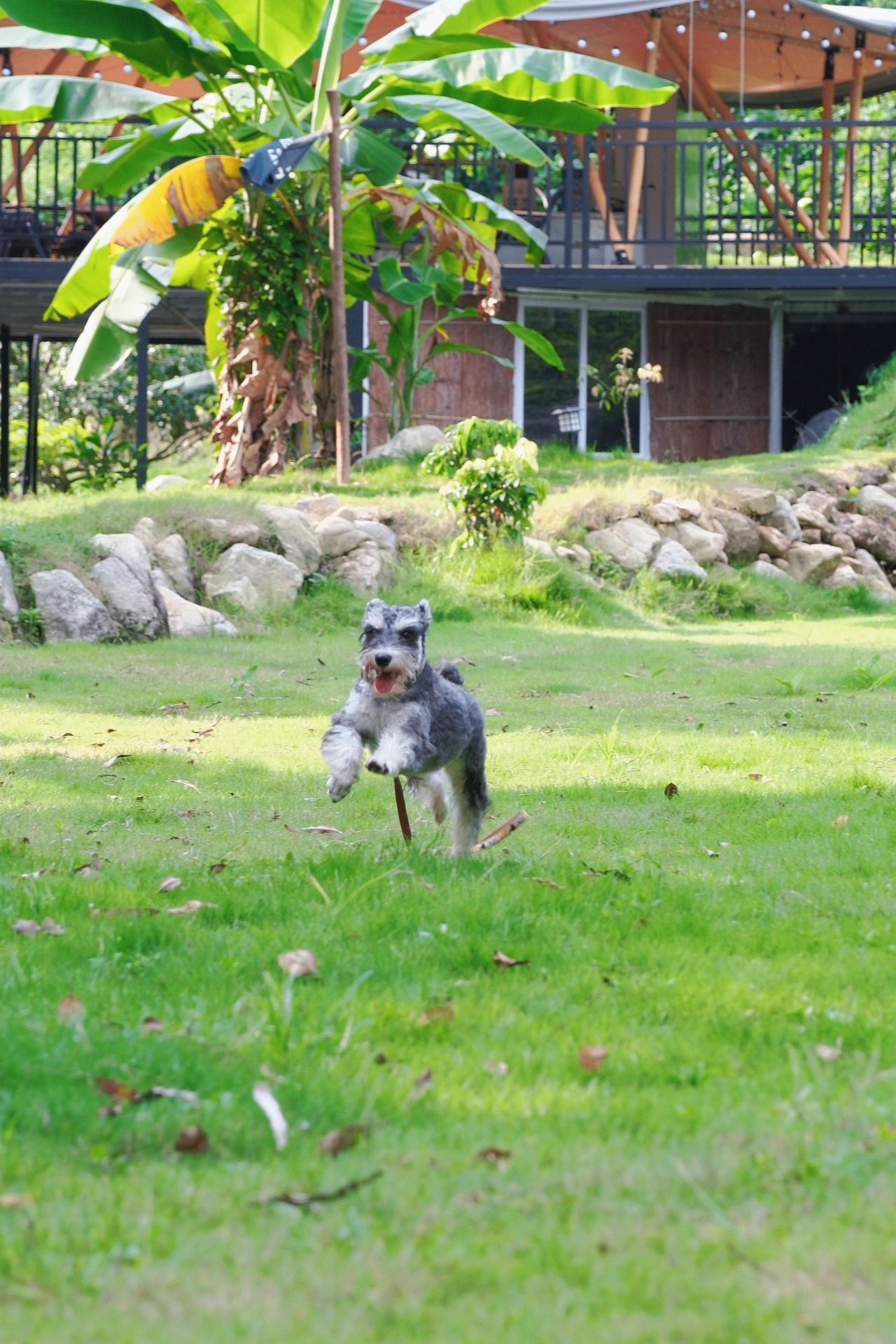 广州周边露营好去处｜⛺️宝藏露营地安利