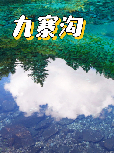 成都学生党怎么走九寨沟黄龙若尔盖