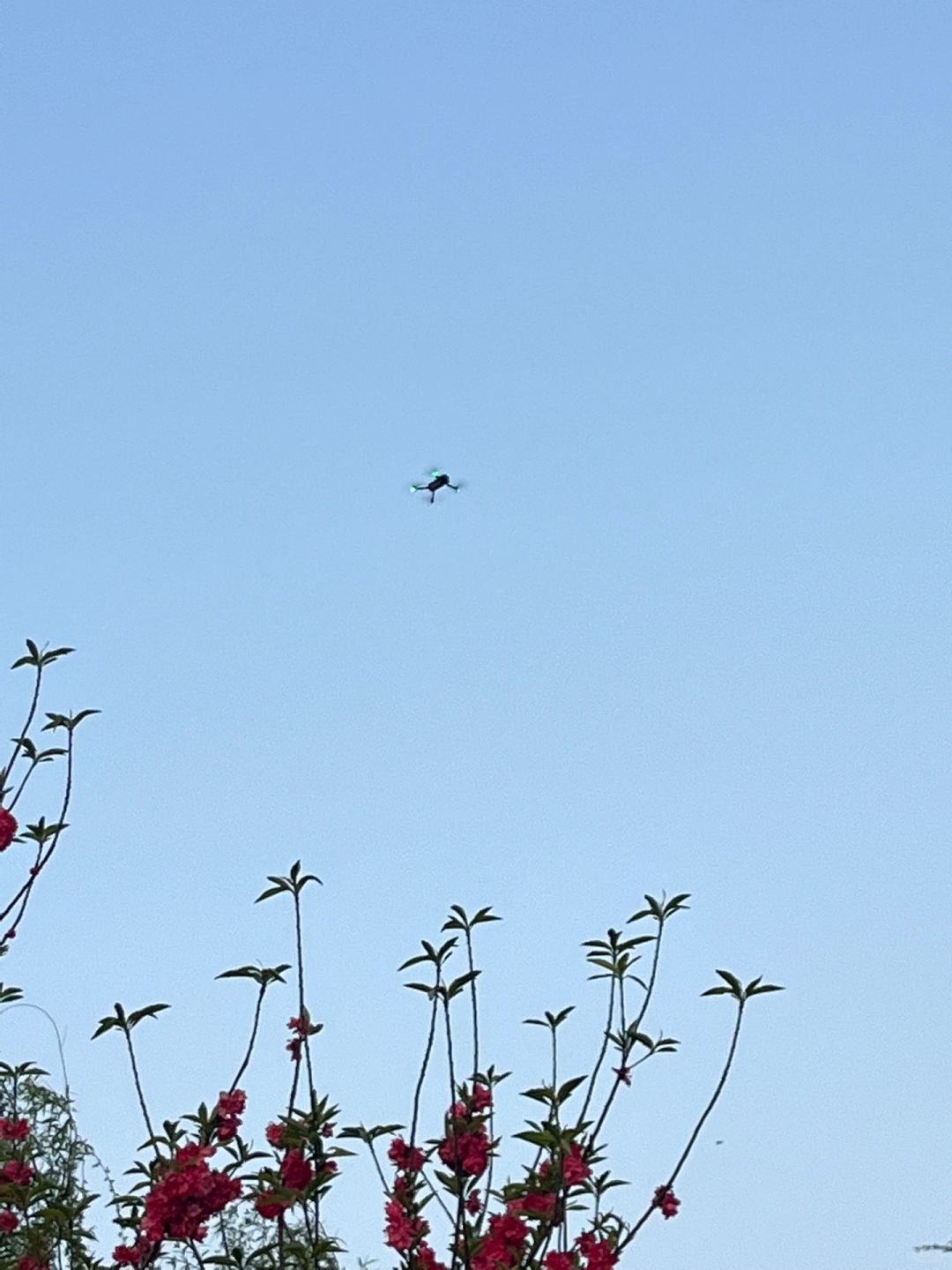 我跳预言家，2024杭州成为更多人的精神故乡
在上海读研短暂地停留了快要两年，从