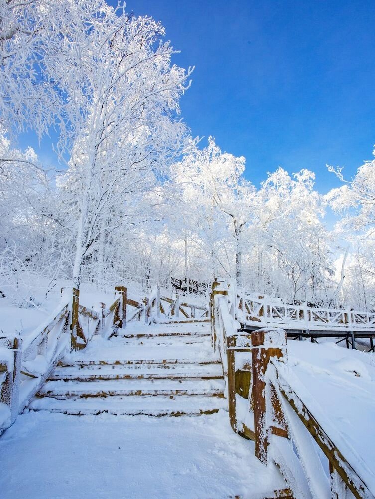 强烈建议❗这个冬天一定要去长白山看雪