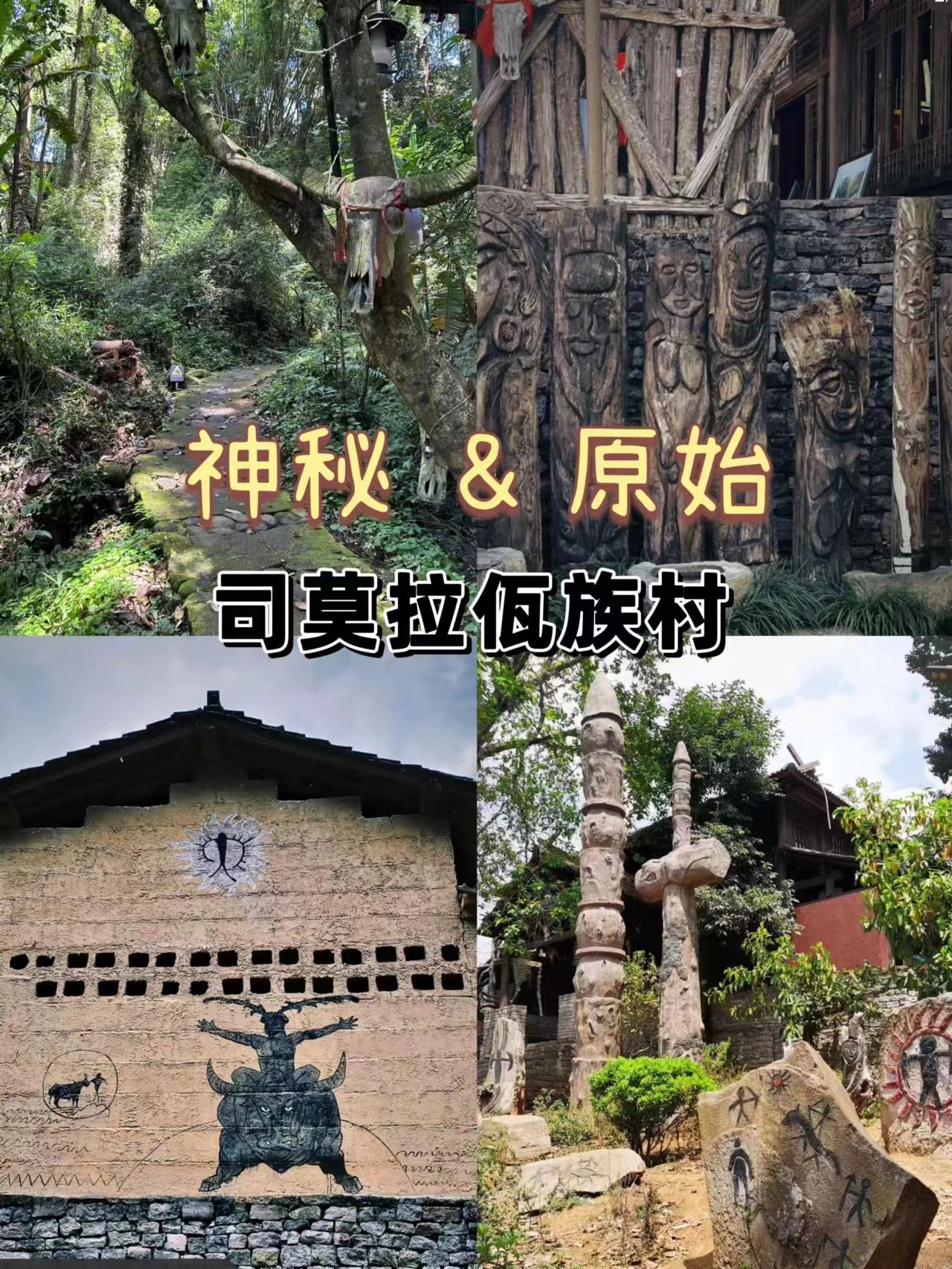 万万没想到今年惊艳我的秋，在云南腾冲