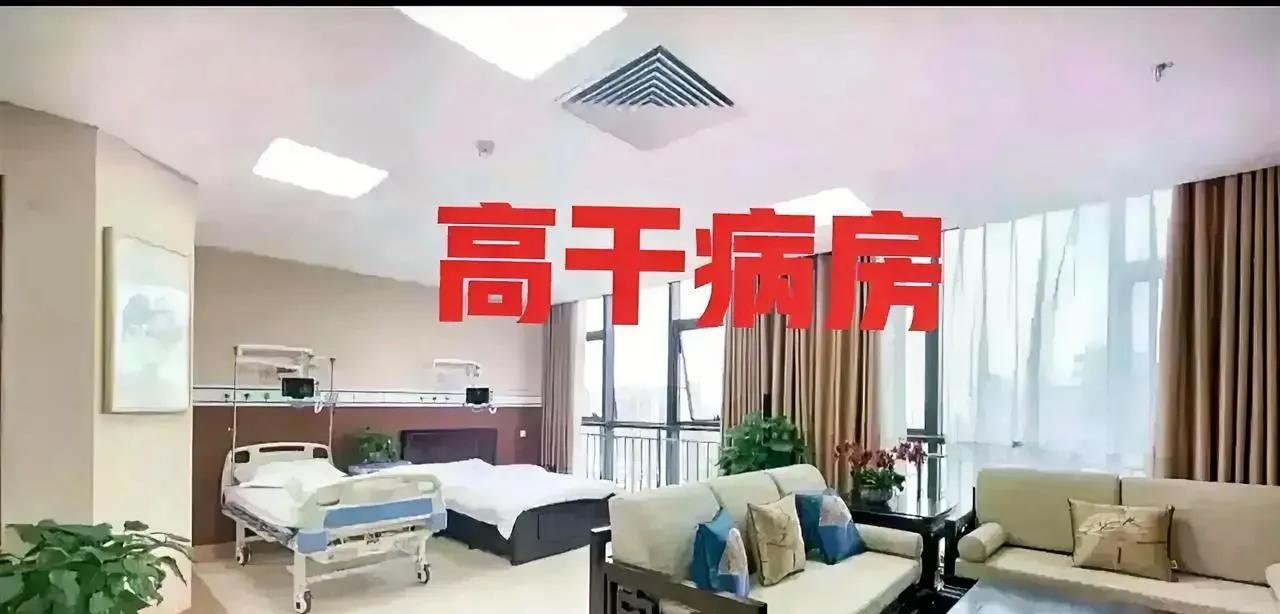 这是某地高干病房的内景，首先从位置上来说，为避免被普通人打扰，高干病房一般都位于