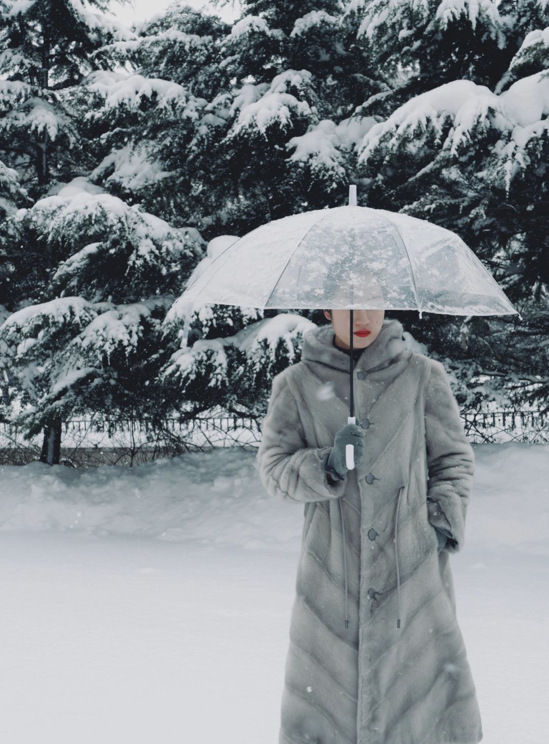 北国风光🌊来威海看雪啦
总想多留一些照片来记录这场下了一个周的大雪#威海