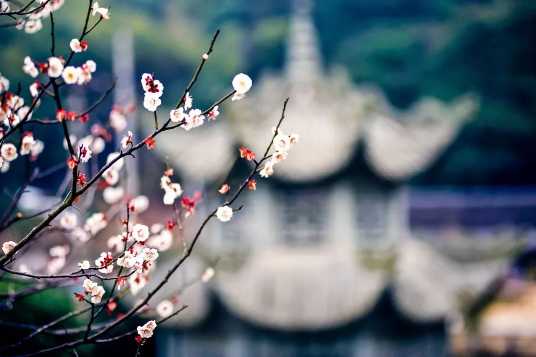 ​等你再回头，身边已无我 

在留言区看到一段话说：

我曾千百次地告诉过你，你