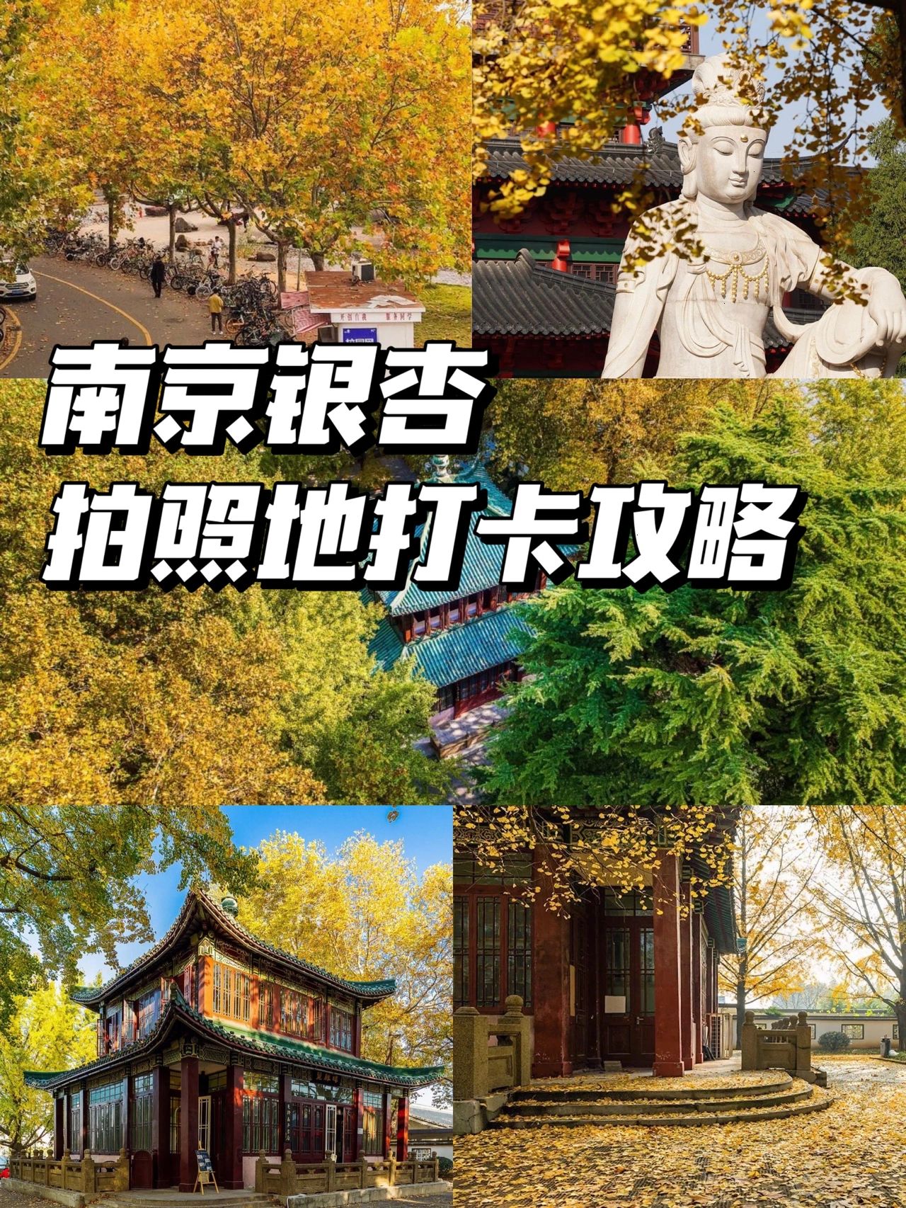 南京银杏拍照打卡点攻略