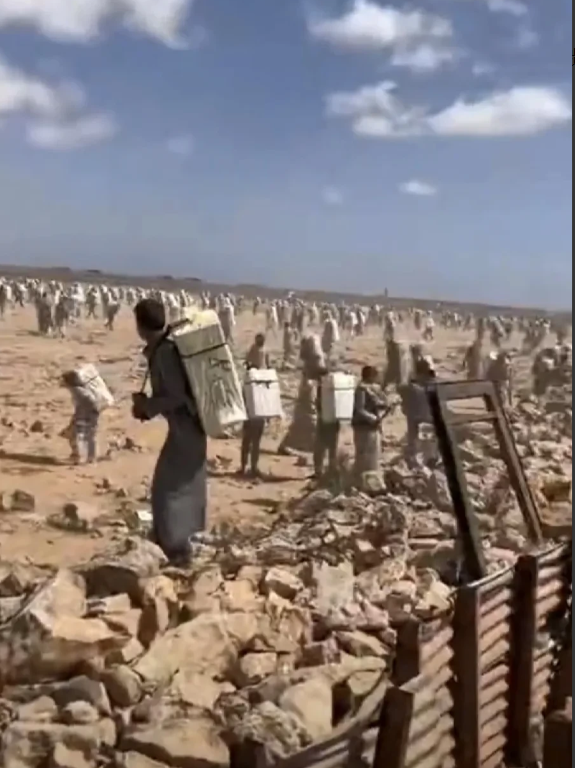 有被震撼到！在以色列的封锁下，巴勒斯坦断水断电断气断粮。成百上千的埃及民众背着食