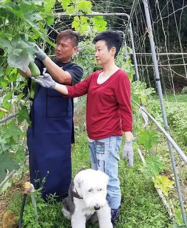 男明星向往的生活是什么样的？还挺让人意外的。

在多数人的理解中明星的生活都是高