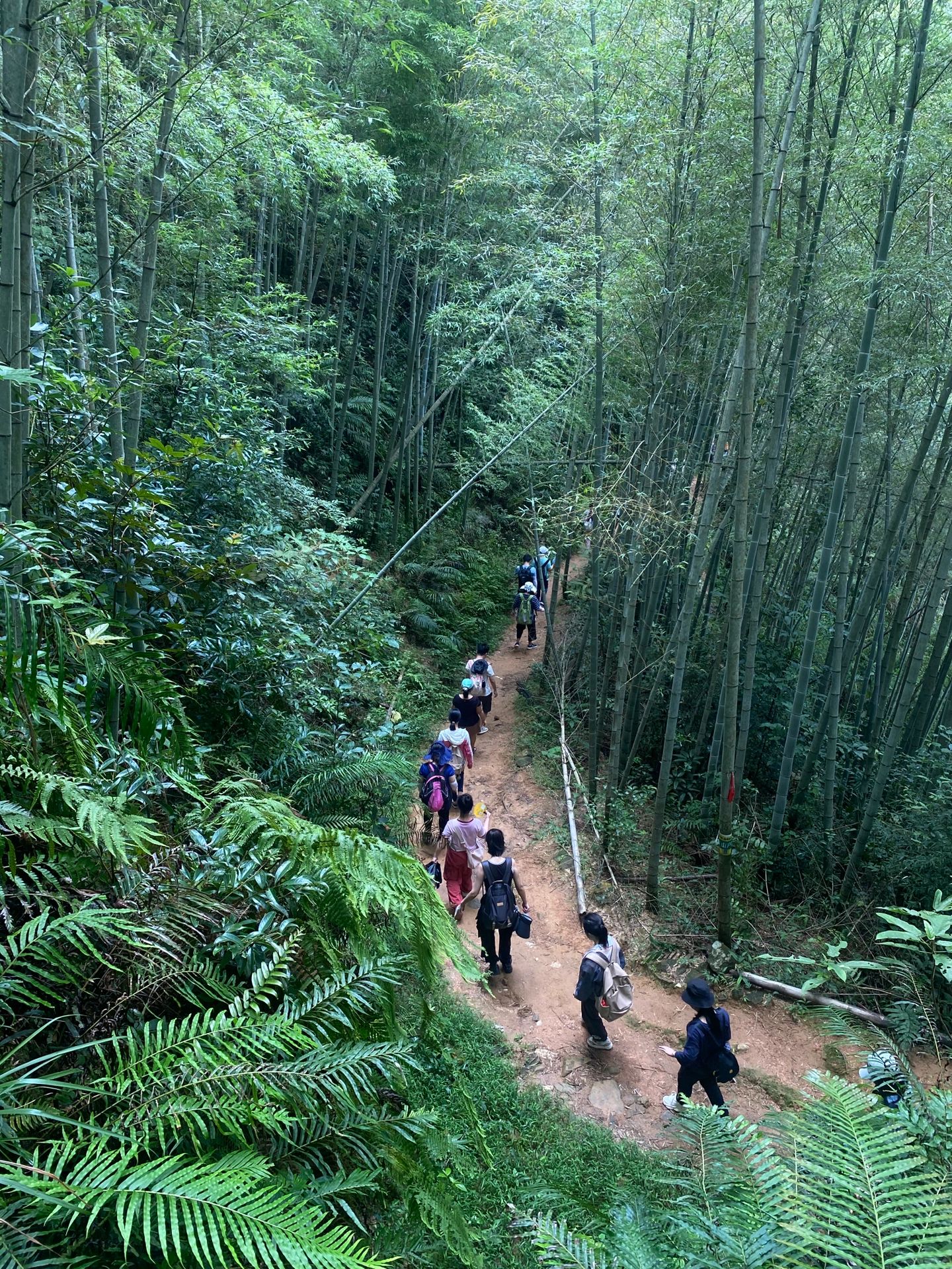市内徒步｜十里竹林🎋星溪线