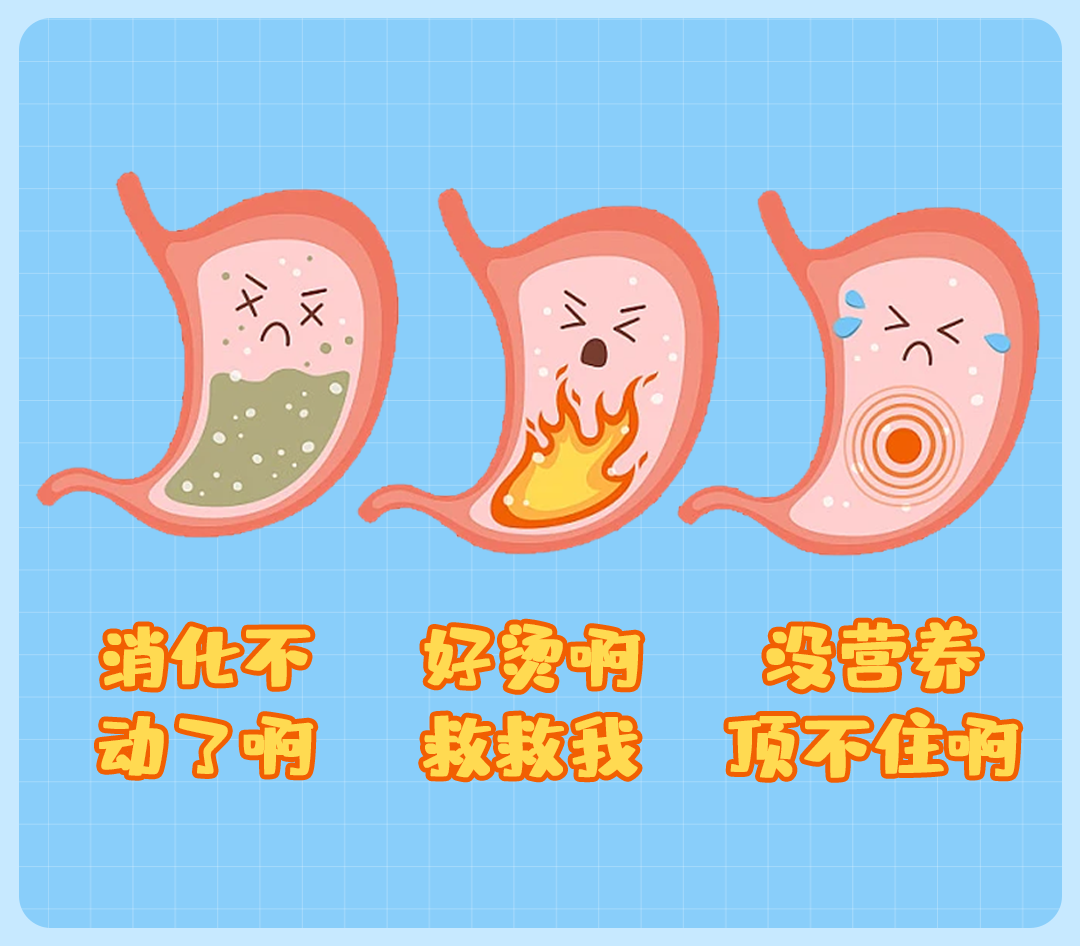 经常喝粥真的能养胃吗？小心越喝胃越差！


胃不舒服，想要养胃，大家肯定第一想法