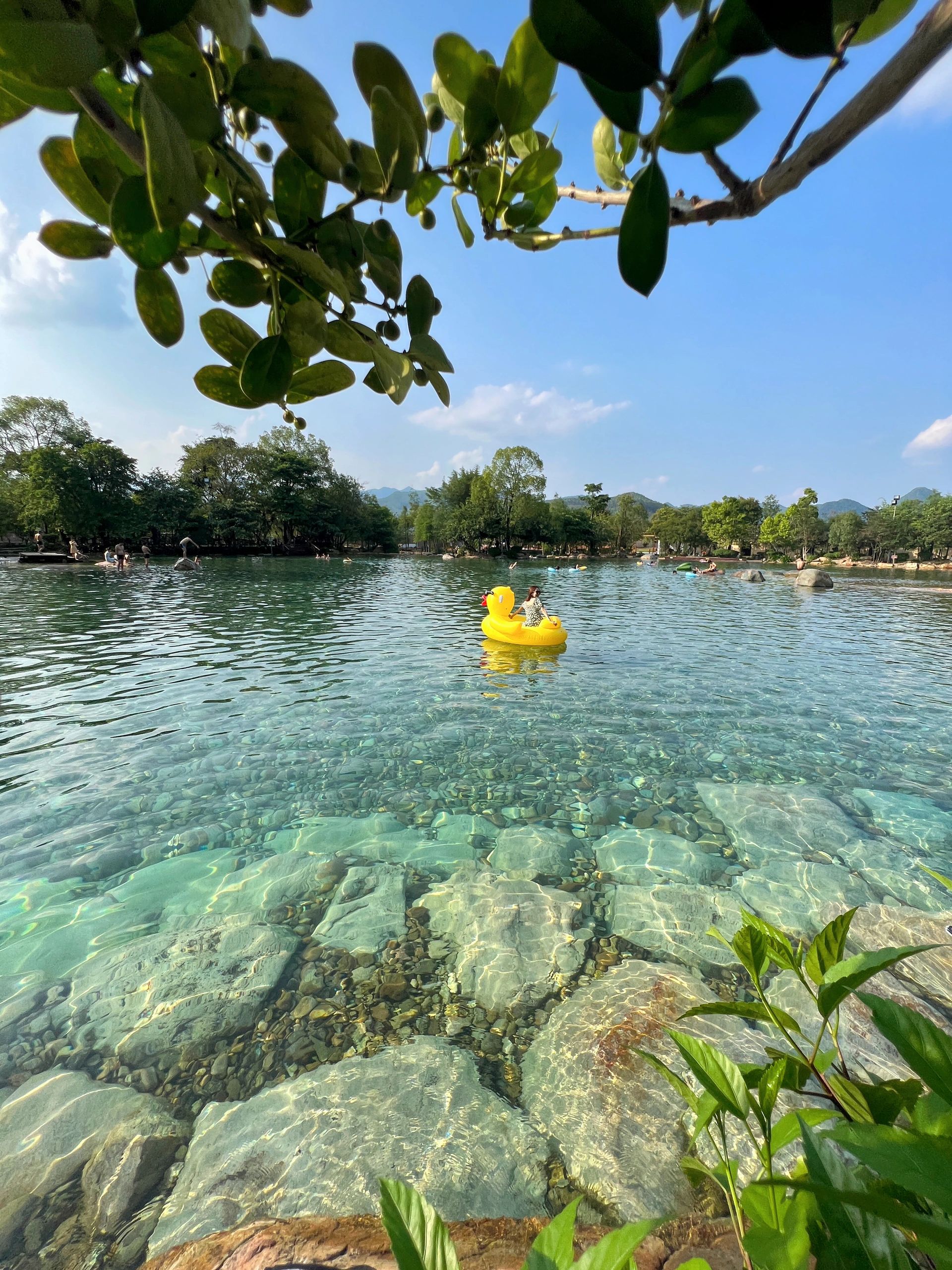 广州周边游｜挖到一个森林里的宝藏露营地